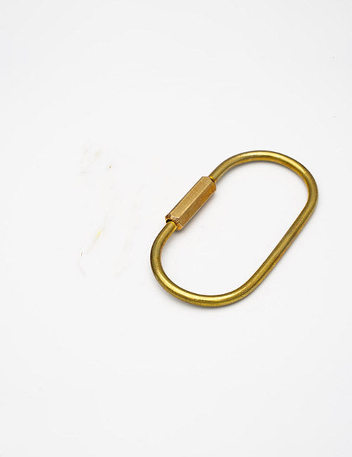A YIPAI Rings & Slides gold oval metal carabiner with a screw lock is shown resting on a plain white background.